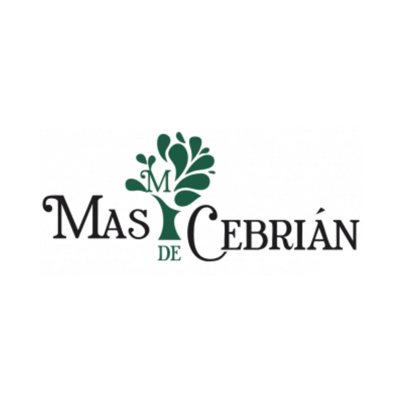 logo-mas-de-cebrian